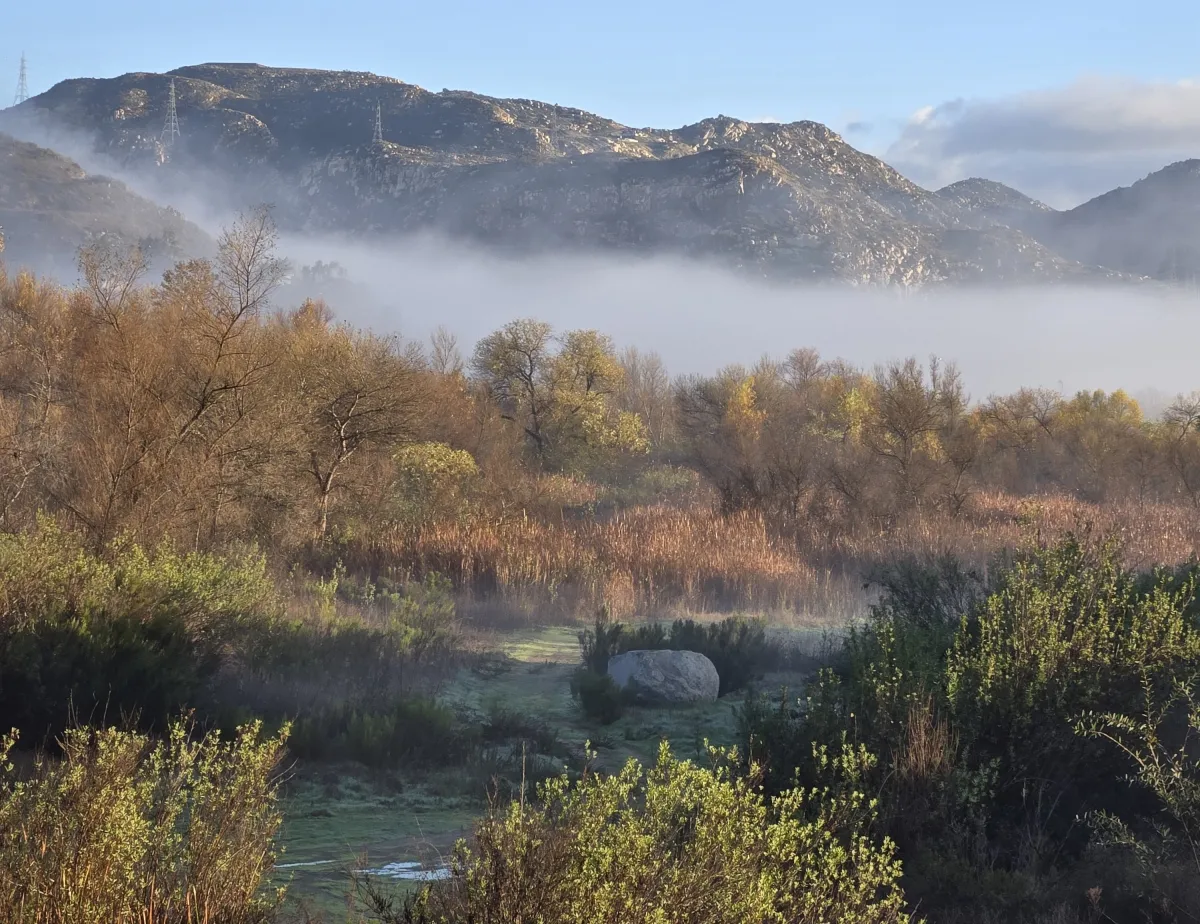 Reducing Fire Risk in the Wildland Urban Interface